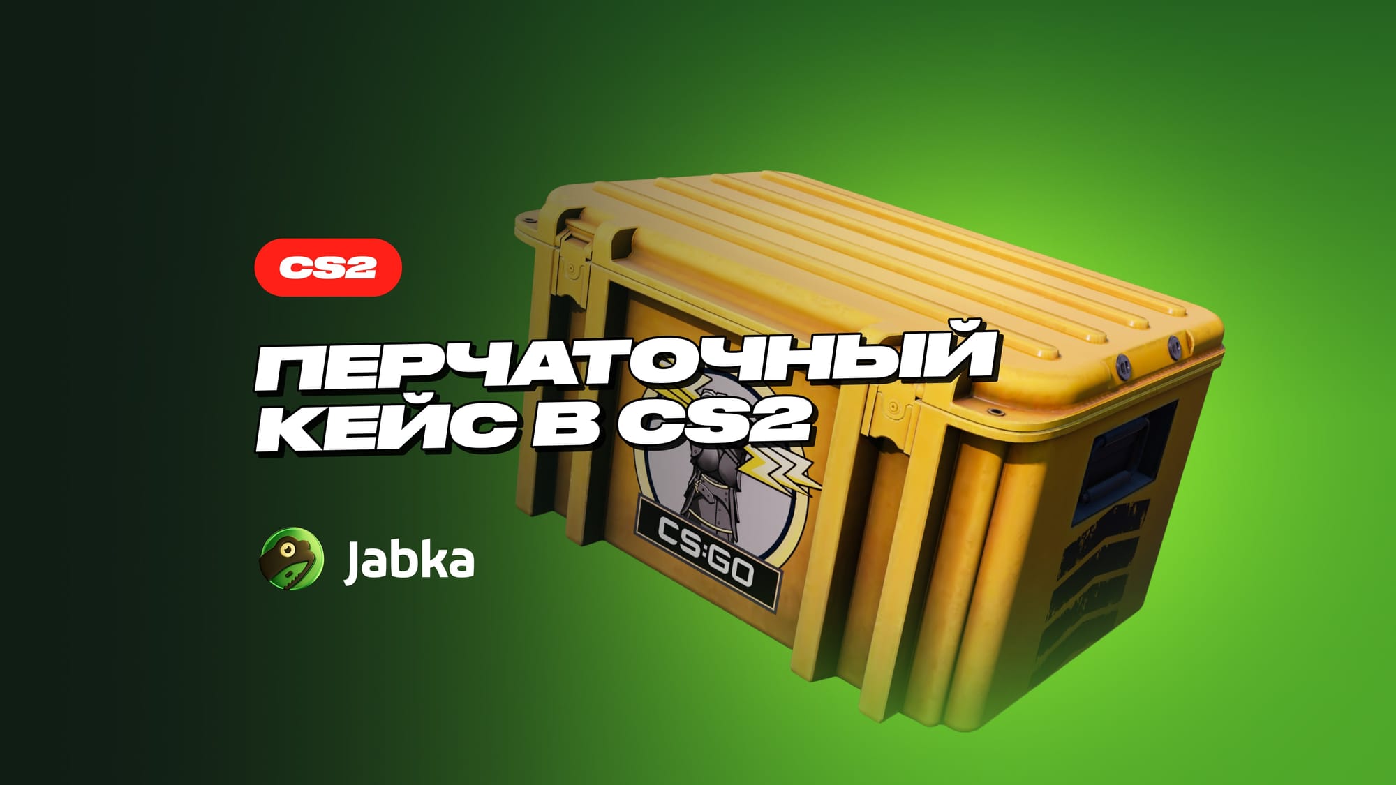 Перчаточный кейс в CS 2: полный обзор скинов и цен