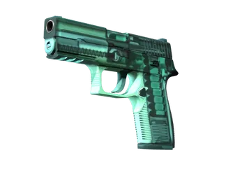 StatTrak™ P250 | X-Ray (Factory New)