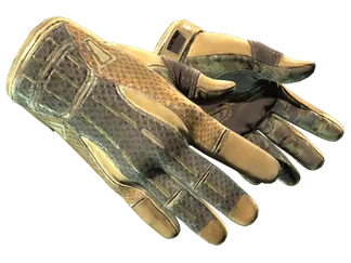 ★ Sport Gloves | Arid (Well-Worn)