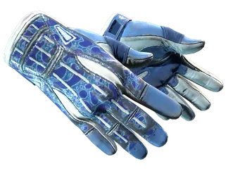 ★ Sport Gloves | Amphibious (Well-Worn)