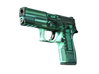 StatTrak™ P250 | X-Ray (Field-Tested)