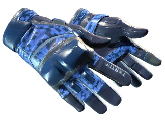 ★ Moto Gloves | Polygon (Minimal Wear)