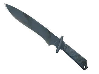 ★ Classic Knife | Night Stripe (Minimal Wear)