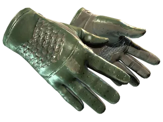 ★ Driver Gloves | Racing Green (Well-Worn)