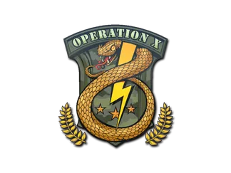 Sticker | Badge of Service