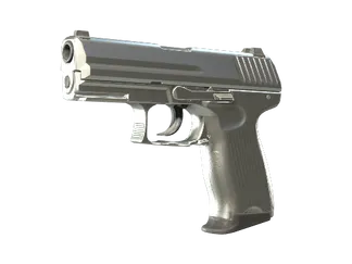 P2000 | Silver (Factory New)