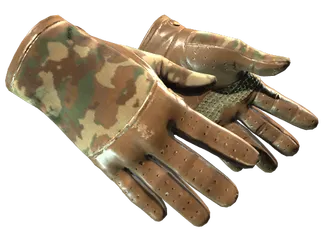 ★ Driver Gloves | Convoy (Field-Tested)