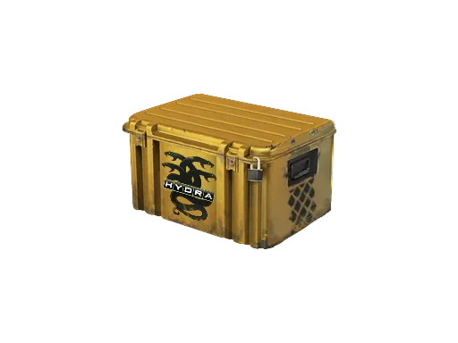 Operation Hydra Case