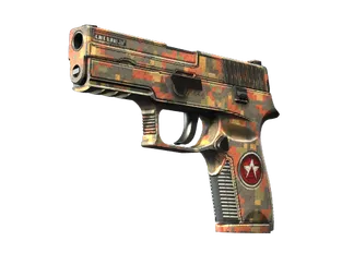 P250 | Red Rock (Field-Tested)