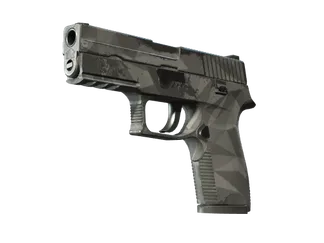 P250 | Facets (Field-Tested)