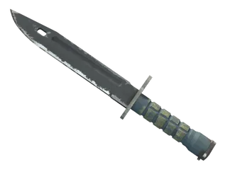 ★ Bayonet | Night (Well-Worn)