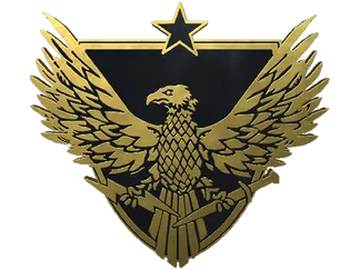 Brigadier General Pin