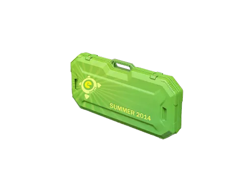 eSports 2014 Summer Case