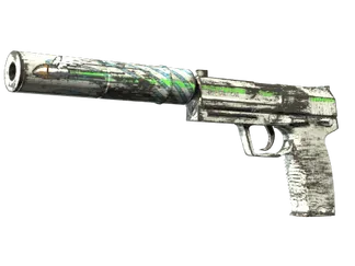 USP-S | Road Rash (Well-Worn)