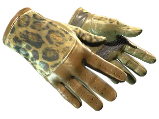 ★ Driver Gloves | Queen Jaguar (Well-Worn)