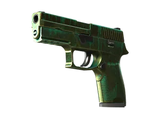 P250 | Verdigris (Battle-Scarred)