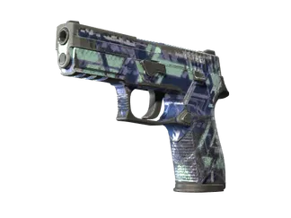 P250 | Digital Architect (Battle-Scarred)