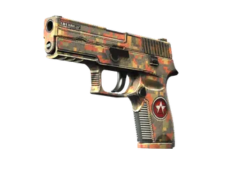 StatTrak™ P250 | Red Rock (Factory New)