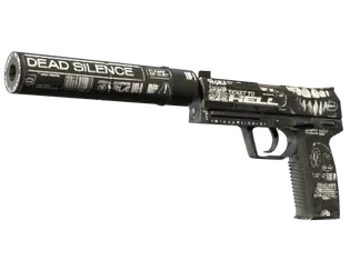 StatTrak™ USP-S | Ticket to Hell (Field-Tested)