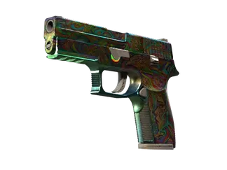 P250 | Visions (Battle-Scarred)