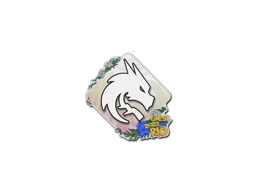 Sticker | Team Spirit | Rio 2022