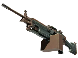 M249 | Submerged (Field-Tested)