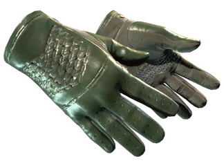 ★ Driver Gloves | Racing Green (Factory New)