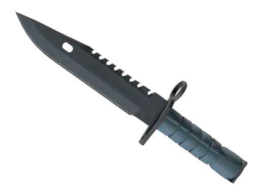 ★ M9 Bayonet | Night
