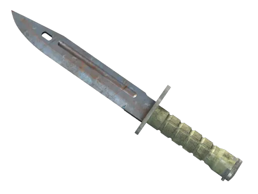 ★ Bayonet | Rust Coat
