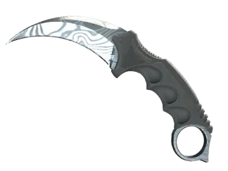 ★ StatTrak™ Karambit | Damascus Steel (Well-Worn)