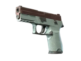 P250 | Copper Oxide (Field-Tested)
