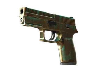 StatTrak™ P250 | Verdigris (Well-Worn)