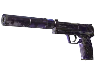 USP-S | Purple DDPAT (Well-Worn)