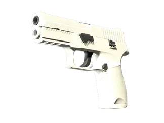 P250 | Whiteout (Minimal Wear)