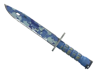 ★ StatTrak™ Bayonet | Bright Water (Field-Tested)