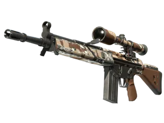 G3SG1 | Desert Storm (Field-Tested)