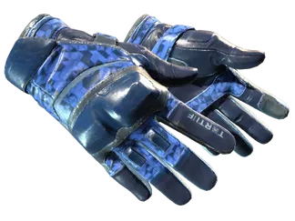 ★ Moto Gloves | Polygon (Field-Tested)